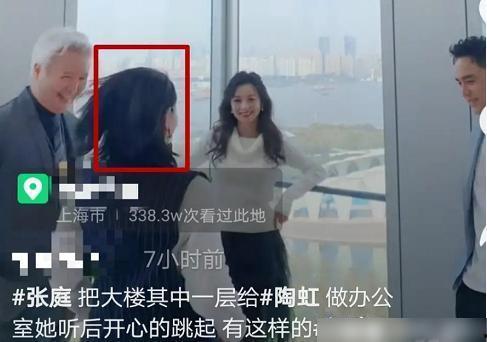 吃瓜娱乐圈陶虹完整版,完整版幕后故事全解析